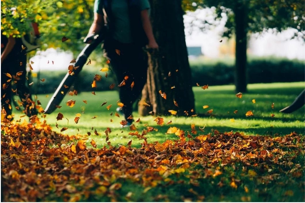 Projet de paysagement complet sur la Rive-Sud